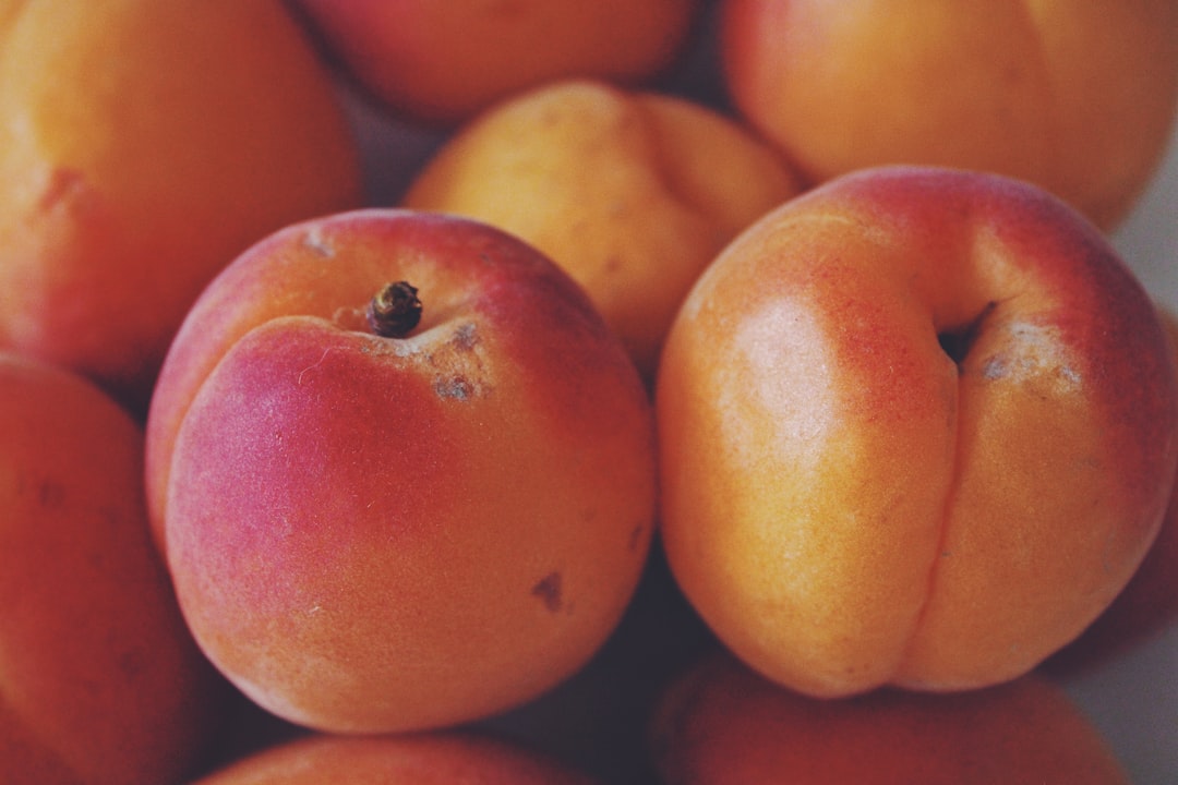 Fruit.