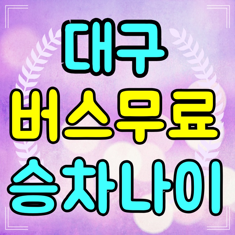 대구버스-무료승차-나이