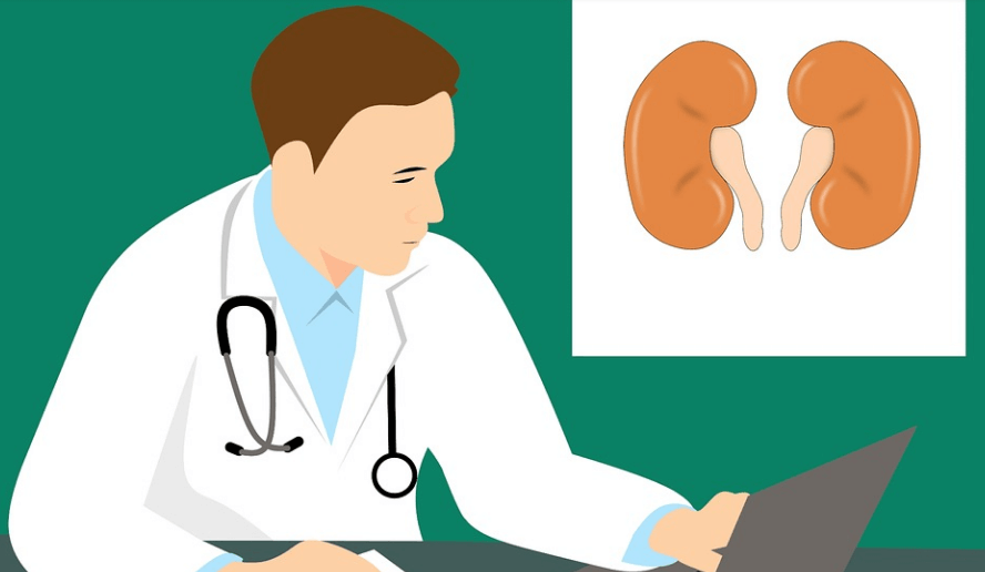 신장에 안 좋은 음식과 신장 상태를 의사가 차트를 보면서 설명하고 있다