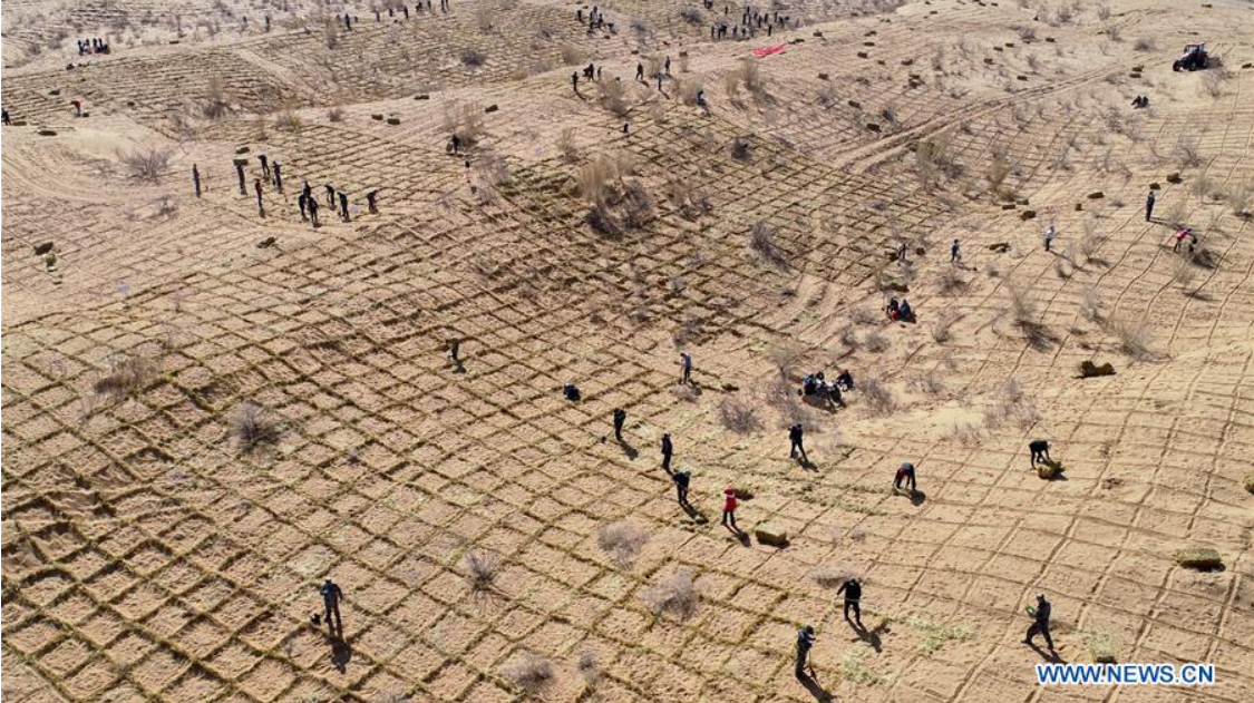 중국 간쑤성 린쩌현에서 사막화를 막기 위해 사람들이 바둑판 모양으로 방풍 장벽을 설치하는 모습의 항공 사진