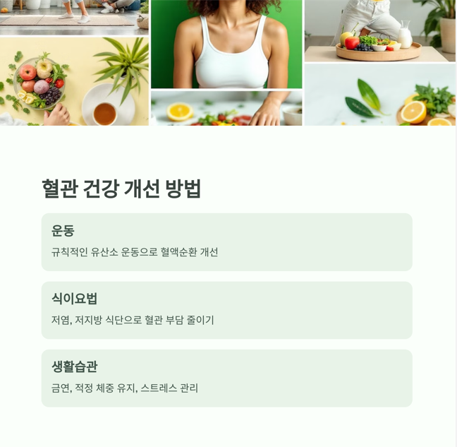 혈관 건강 개선 방법