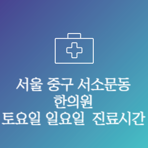 서울 중구 서소문동 주말 토요일 일요일 문여는 병원 진료시간