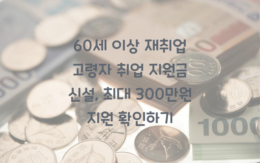 고령자 취업 지원금 신설, 60세 이상 재취업 시 최대 300만원 지원