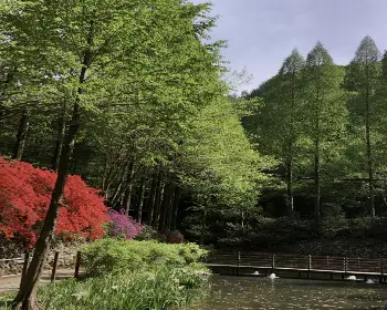 장태산 자연휴양림 예약_31