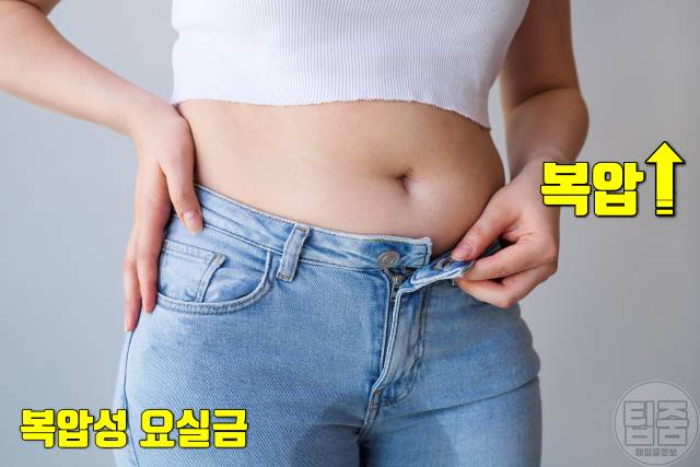 소변이 새요 복압성 요실금 원인 뱃살 비만 과체중