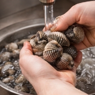 꼬막 해감 쉽게 하는 법