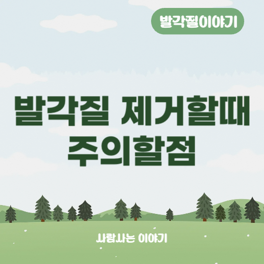 발 각질 제거 시 통증 생기는 이유와 해결법