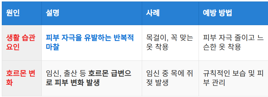 생활 습관과 호르몬의 영향