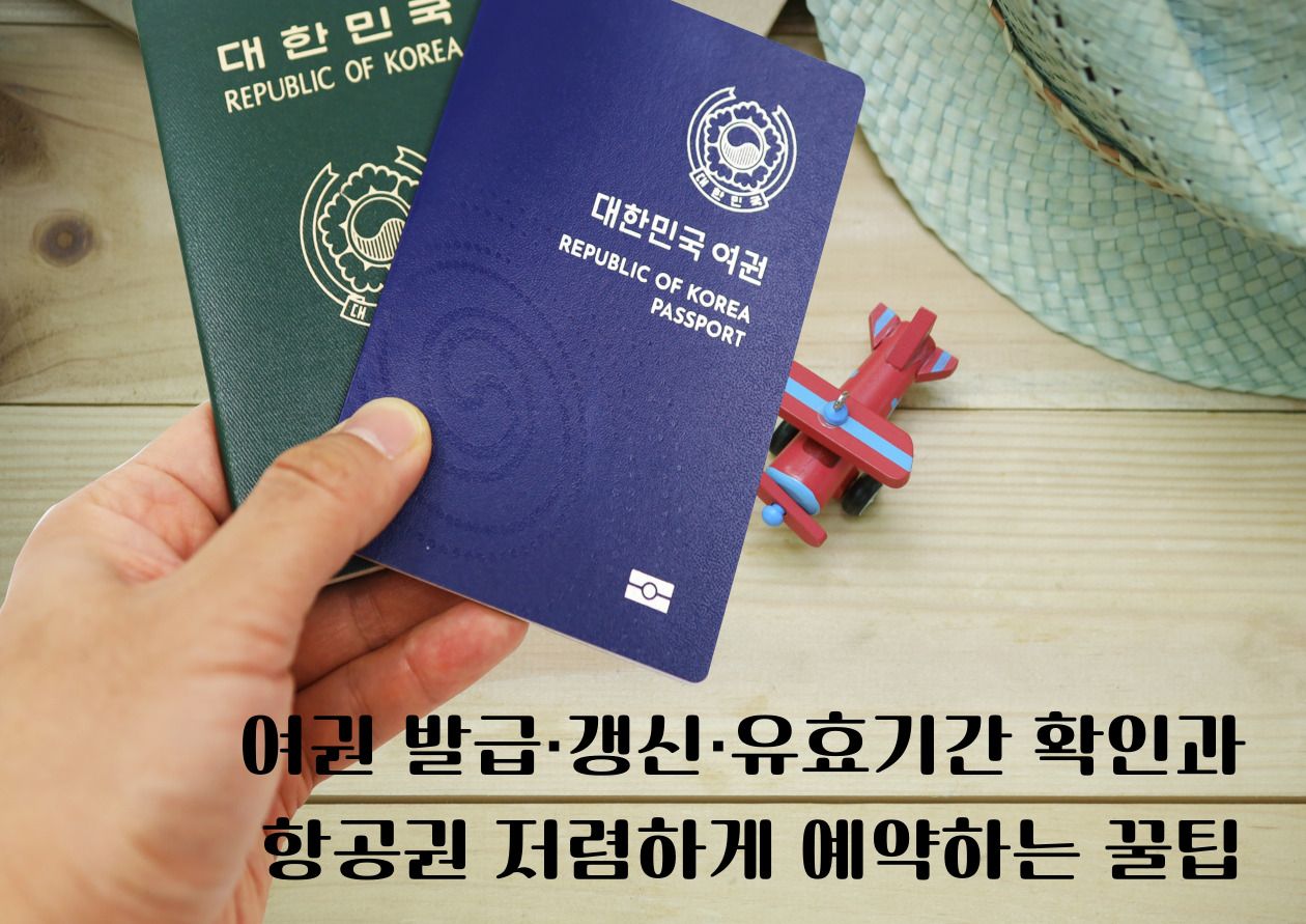 여권발급,갱신 유효기간확인 및 항공권예약 꿀팁