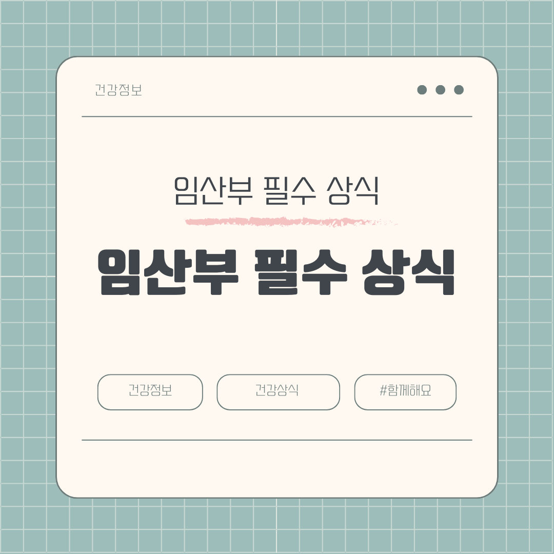 임산부의 필수 상식