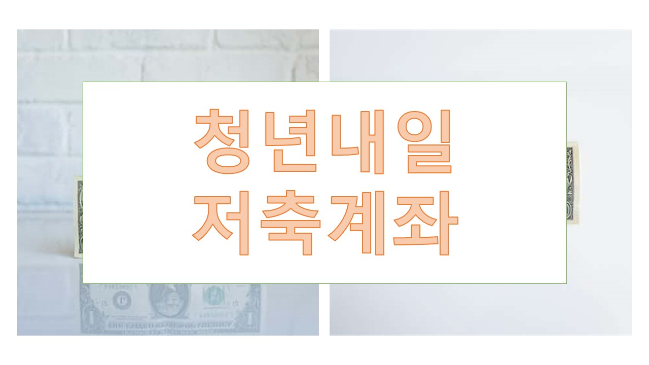 청년내일저축계좌 청년도약계좌 비교분석