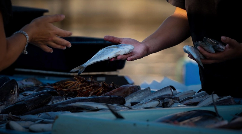 해외시장 진출의 필요성