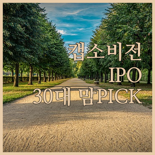 CapsoVision IPO, 30대