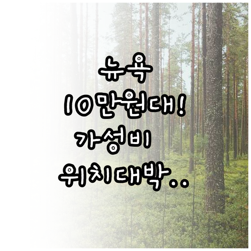 뉴욕 여행 가성비 숙소 추천 위치 좋..