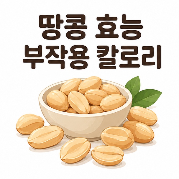 땅콩 한 그릇로 표현한 땅콩 효능과 부작용, 칼로리 안내 이미지