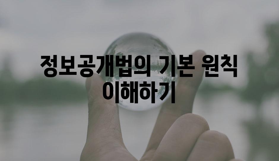 정보공개법의 기본 원칙 이해하기