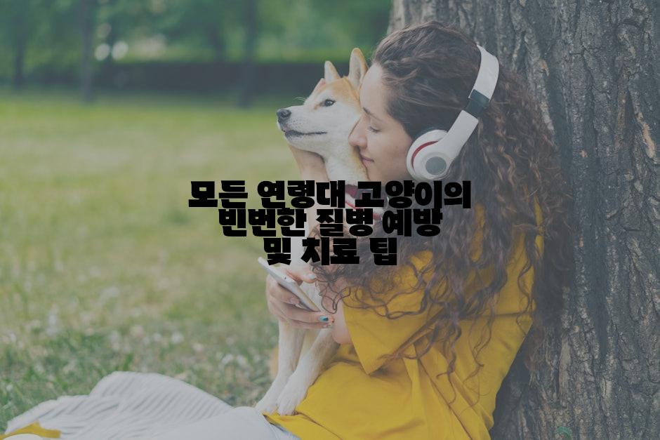 모든 연령대 고양이의 빈번한 질병 예방 및 치료 팁
