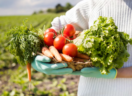 농업 혁명 개요 부터 그 과정 알아보기