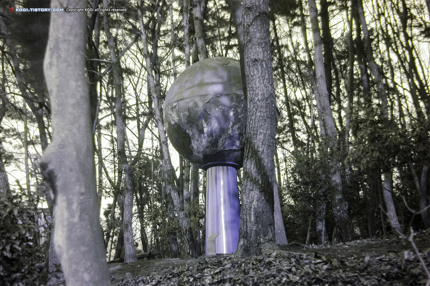 Nikon D5100 UV Photo