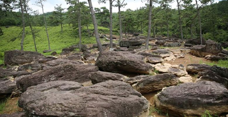 화순고인돌공원