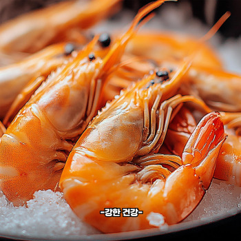 대하 효능