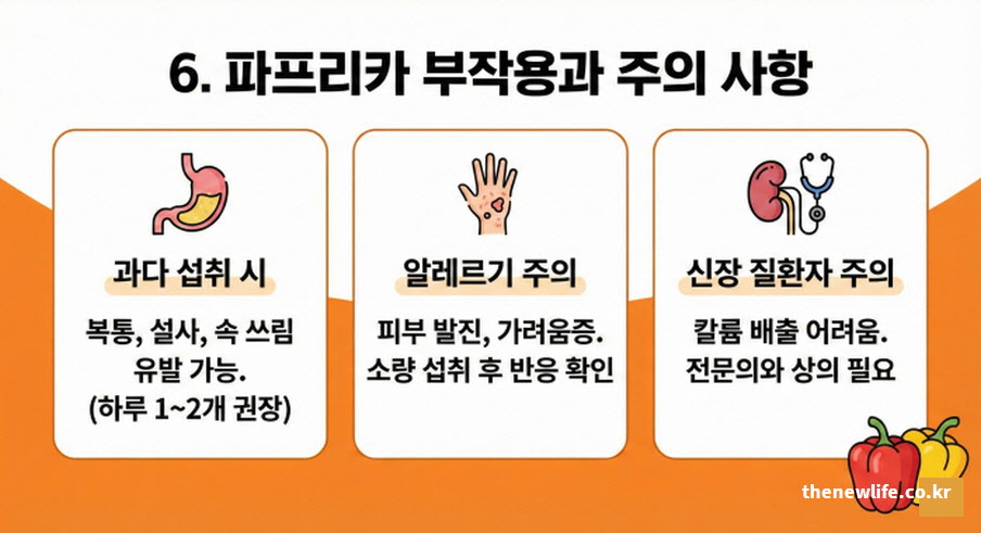파프리카 과다 섭취 시 나타나는 복통 설사 부작용과 신장 질환자 칼륨 섭취 주의 안내