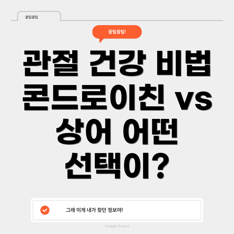 콘드로이친