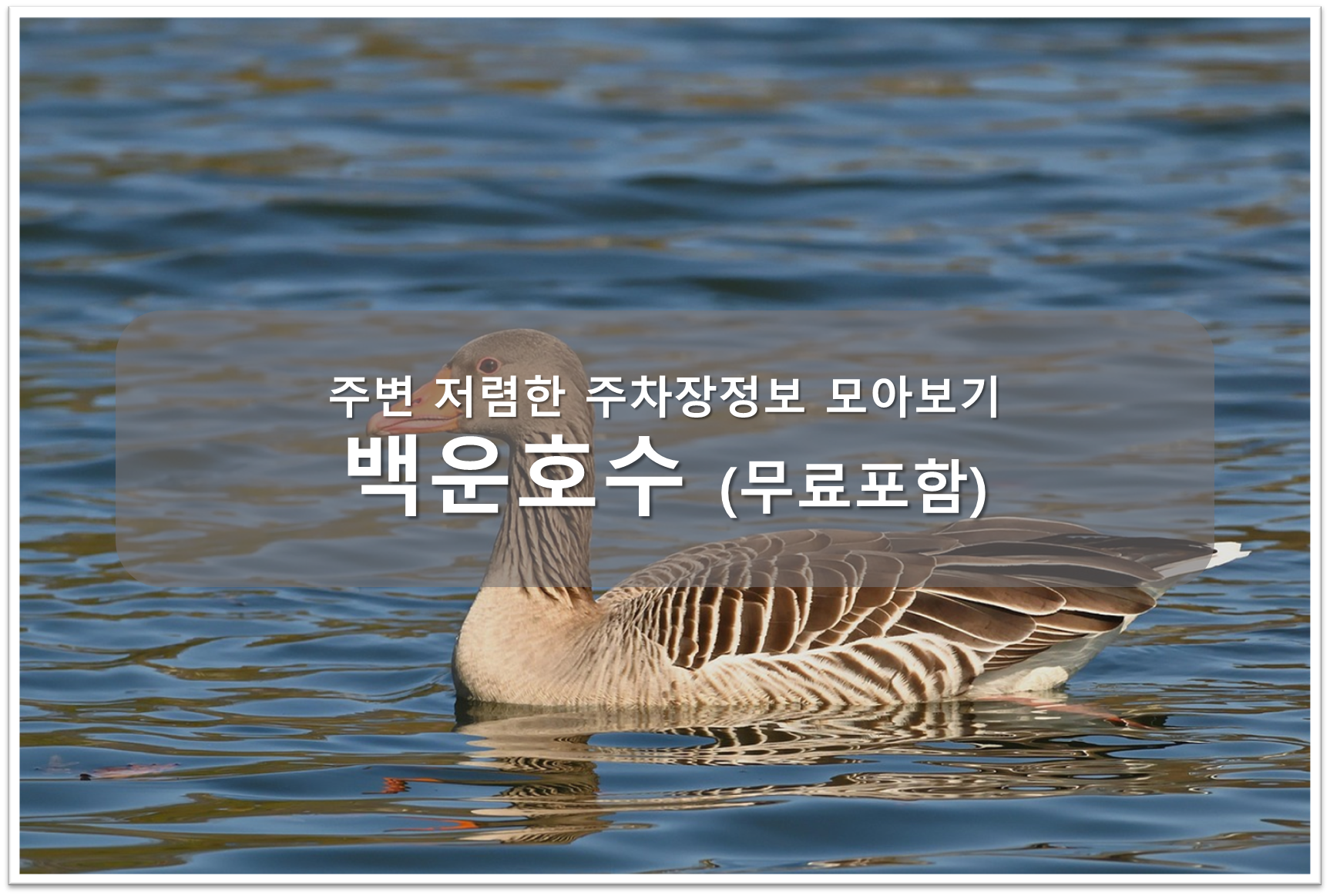 백운호수 주차장 안내