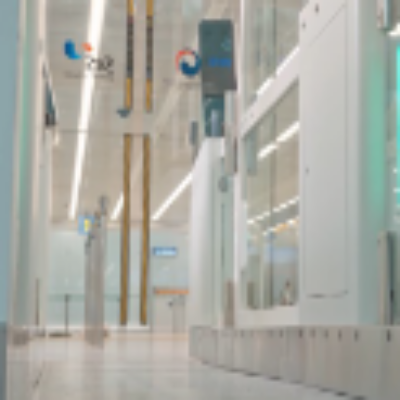 자동출입국심사 게이트 이용방법