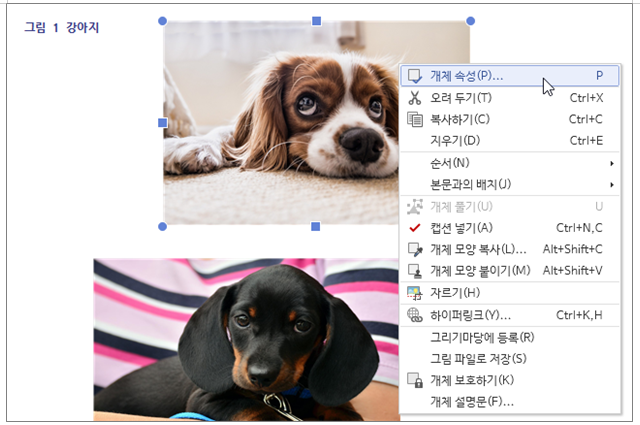 한글 캡션 설정 표번호 그림번호