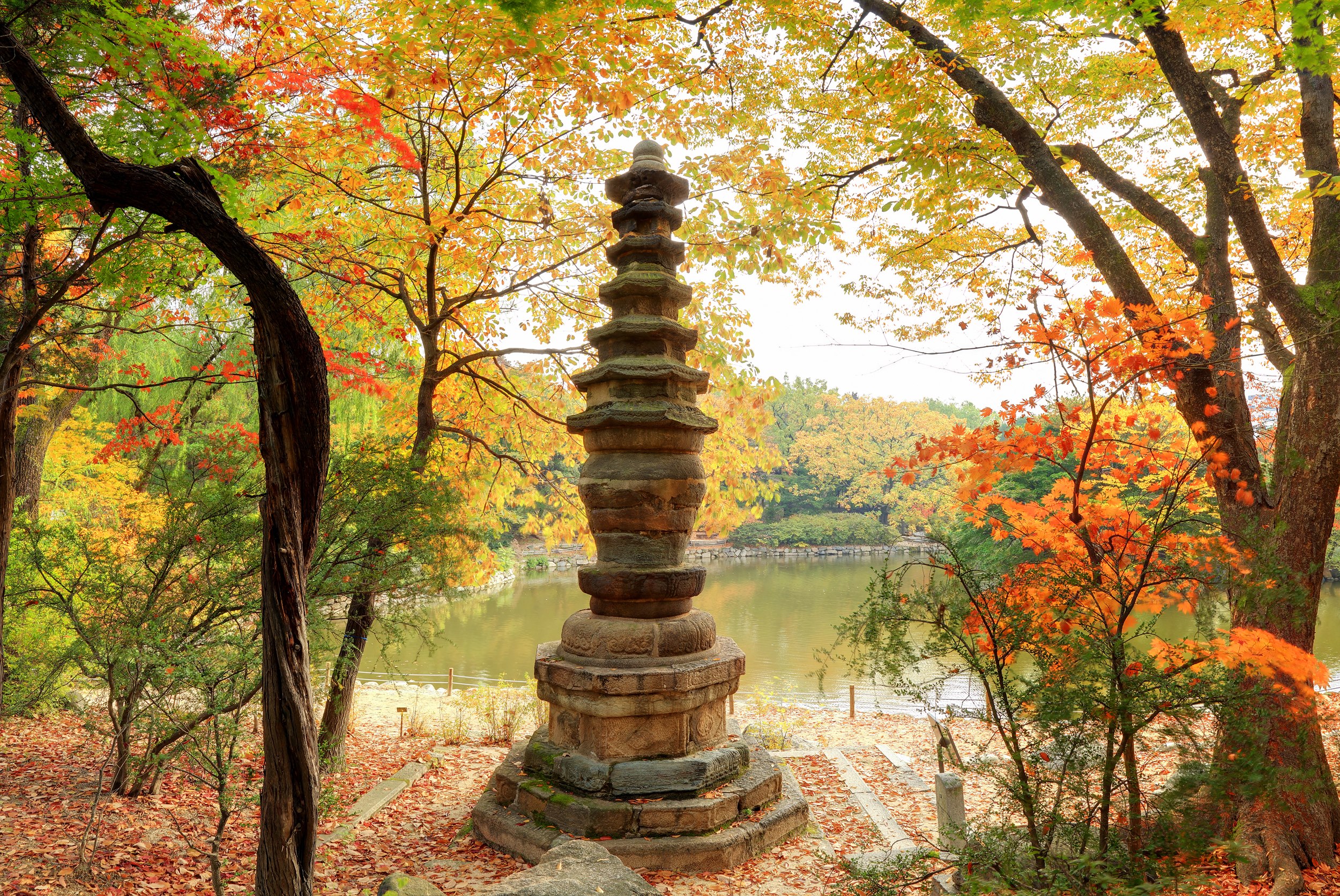 가을 축제 : 가을 여행