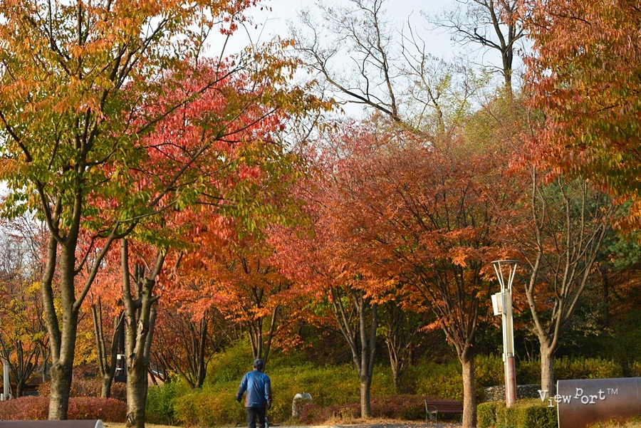 서서울호수공원