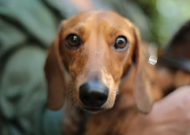 여자창업에 대하여 알아보기