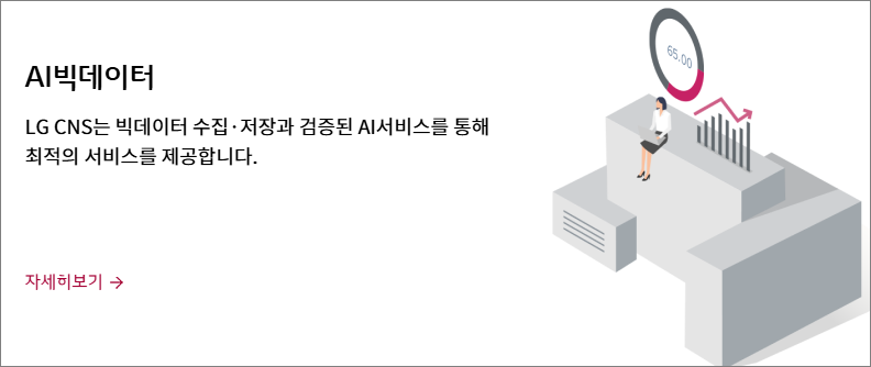 LG CNS의 사업영역:AI 및 데이터 분석