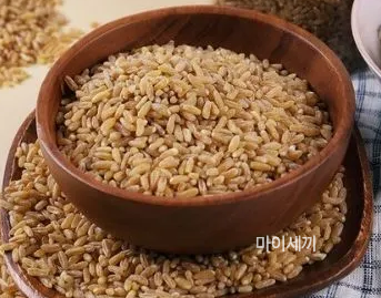 카무트 다이어트