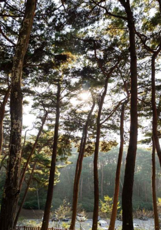 충남 가볼만한곳 베스트10