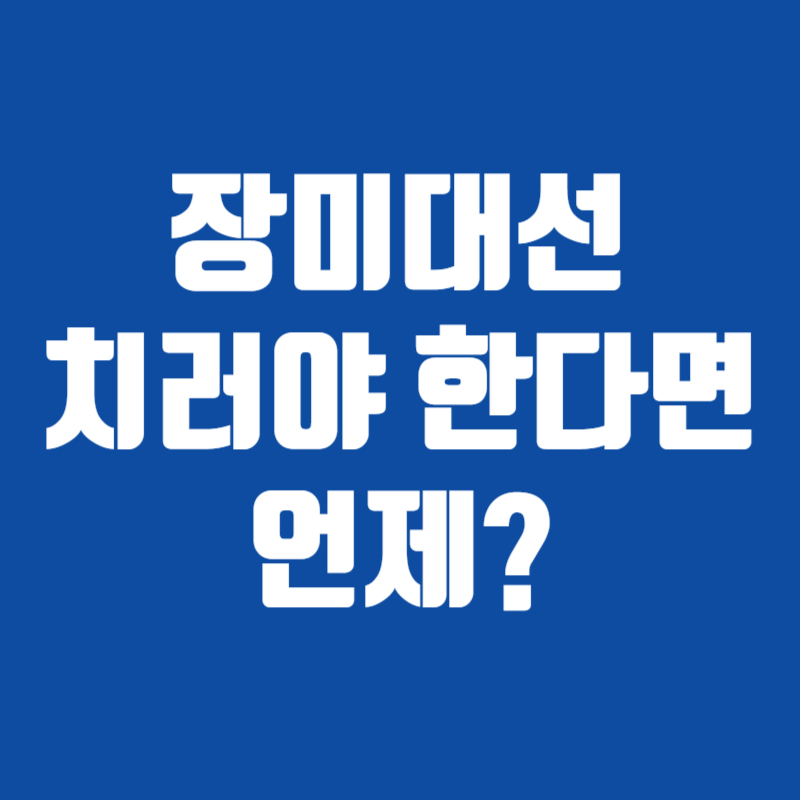 장미대선 치러야 한다면 언제?