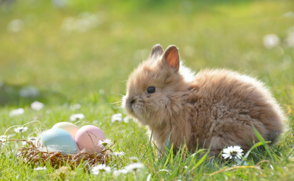 2025년 6월 토끼띠 생년별 운세