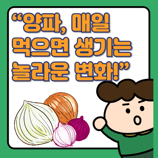 양파의 놀라운 효능과 질환별 섭취법! 보관방법 제대로 알고 드세요