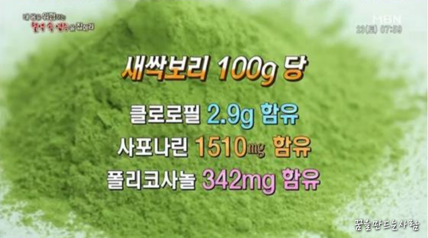 새싹보리 설명 6 새싹보리 효능 6
