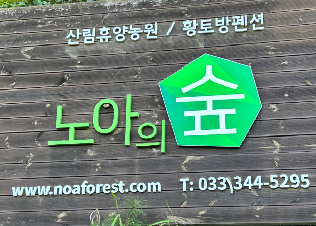 [6시 내고향] 강원도 횡성 자작나무수액 횡성 노아의숲 정보