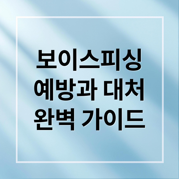 보이스피싱