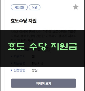 효도수당,. 지원금
