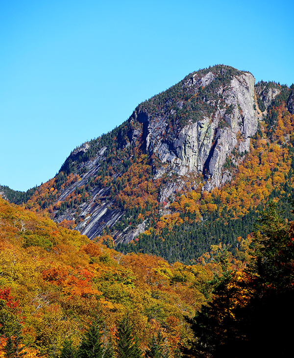 설악산단풍