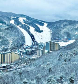 2026 띠별 운세 