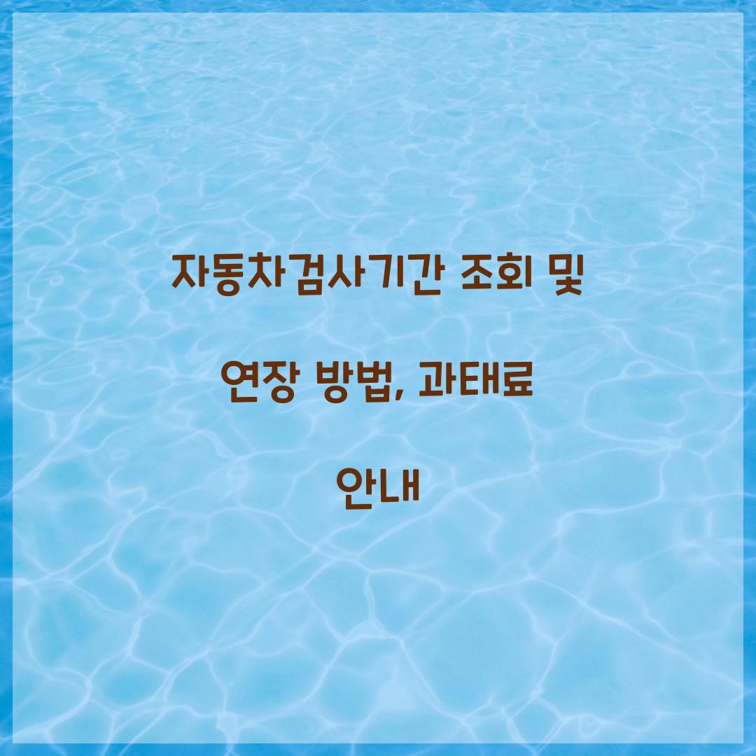 자동차검사기간 조회