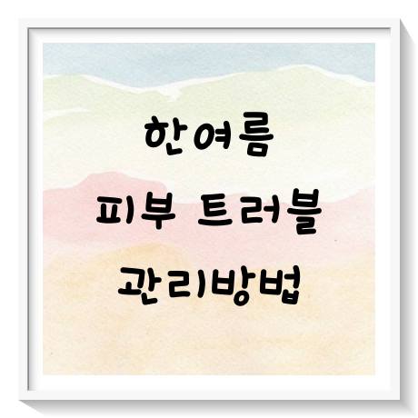여름철 불청객, 피부 트러블과의 전쟁