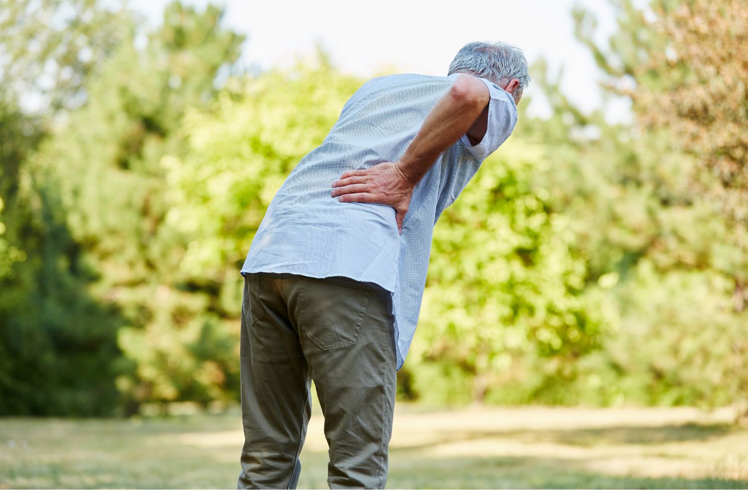 척추관 협착증 증상