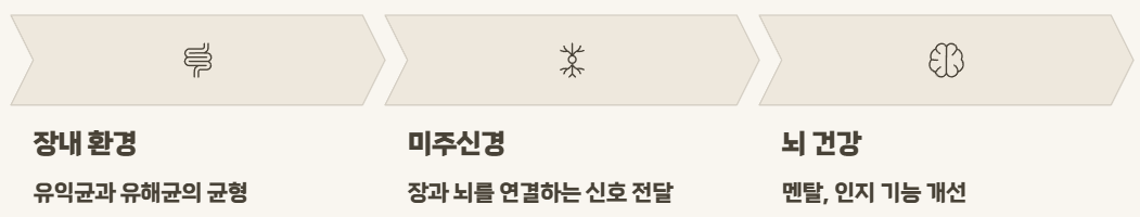 장뇌축유산균NK4146 효능