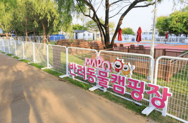 마포구 반려동물 캠핑장